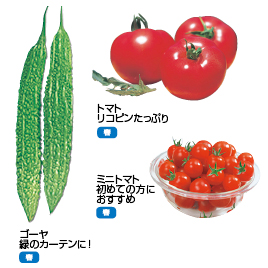 【サカタのタネ】野菜の種
