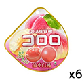 味覚糖  コロロ  清水白桃  40g×6