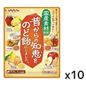 扇雀飴本舗  昔からの知恵をのど飴にしました  92g×10