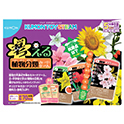 考える植物分類カードゲーム