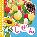 ＮＥＷてのひらしゃしんえほん しぜん