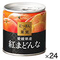 にっぽんの果実　愛媛県産紅まどんな　ｘ２４