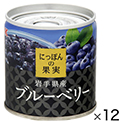 にっぽんの果実　岩手県産　ブルーベリー　ｘ１２