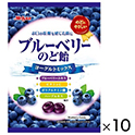 明治産業　ブルーベリーのど飴　64g