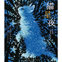 猫星夜  ―ある日の星空のおはなし―