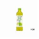緑茶 伊右衛門 手売用 ペット 600ml×24