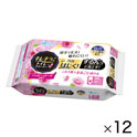 キレキラ！トイレ掃除シート詰替用（12パック）