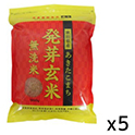 大潟村秋田県産あきた小町発芽玄米鉄分  900g×5