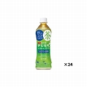 伊右衛門 プラスコレステロール対策 ペット 500ml×24