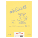 ニューカラーR（色画用紙） A3ノビ判（10枚）