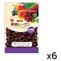 共立食品  ホームメード製菓用果実レーズン  140g×6