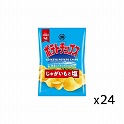 湖池屋  ポテトチップスじゃがいもと塩  小袋  25g×24