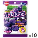 ガブリチュウMINIグレープ　28g