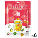 カンロ　健康のど飴梅　90g×6
